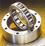 直線運(yùn)動(dòng)軸承產(chǎn)品圖片