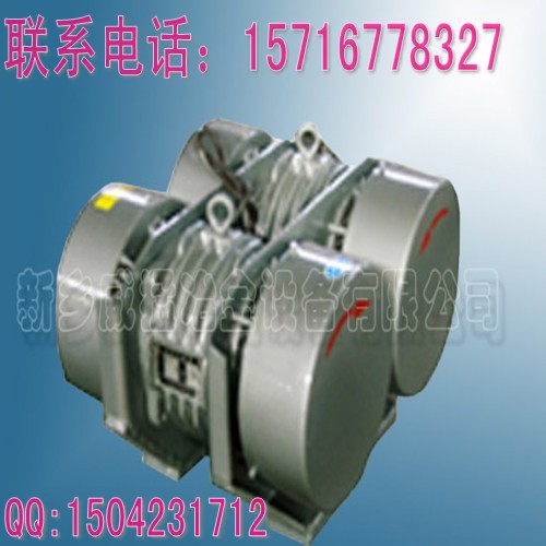 WHZY-2*30-6雙胞胎電機 型號齊全 國際標準價格