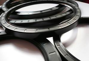 進(jìn)口骨架油封產(chǎn)品圖片