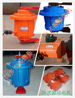 220v立式振動(dòng)電機(jī)/三相異步激振器產(chǎn)品圖片