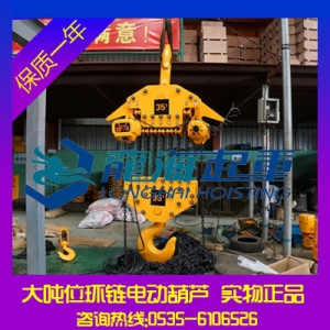 50噸大噸位環(huán)鏈電動葫蘆【運(yùn)行式龍升環(huán)鏈電動葫蘆】龍海