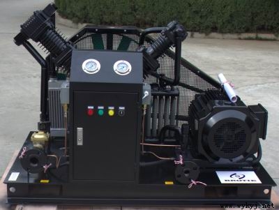 氮?dú)庠鰤簷C(jī),全無油氮?dú)庠鰤簷C(jī)