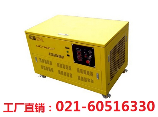 美國閃威汽油發(fā)電機柴油發(fā)電機發(fā)電電焊機產(chǎn)品圖片