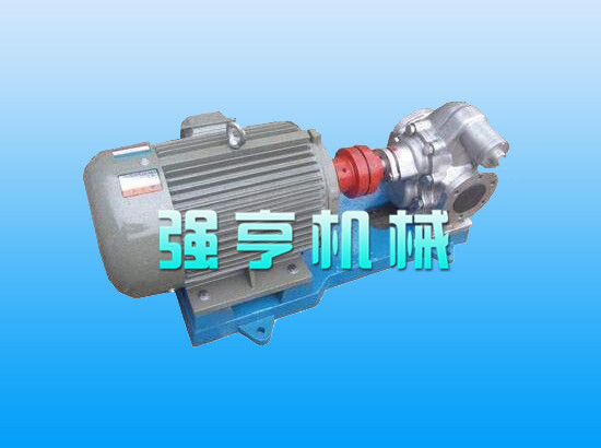 同強(qiáng)亨不銹大鋼食用花生油泵哪家有