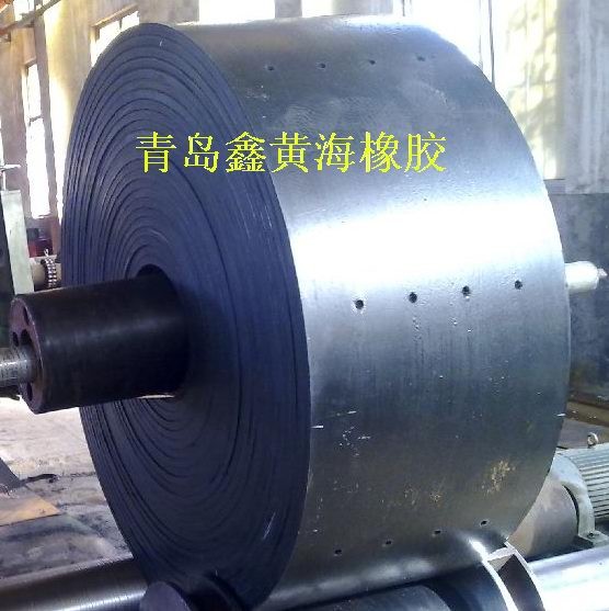 斗提機鋼絲繩提升膠帶廠家產(chǎn)品圖片