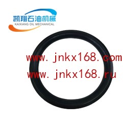 供應(yīng)自潤(rùn)滑首環(huán)5300250034