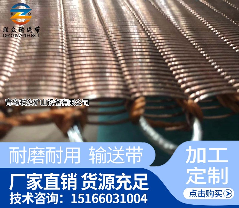 帶式輸送帶金屬網(wǎng)芯輸送帶 助卷帶 耐高溫抗撕裂鋼網(wǎng)芯輸送帶產(chǎn)品圖片