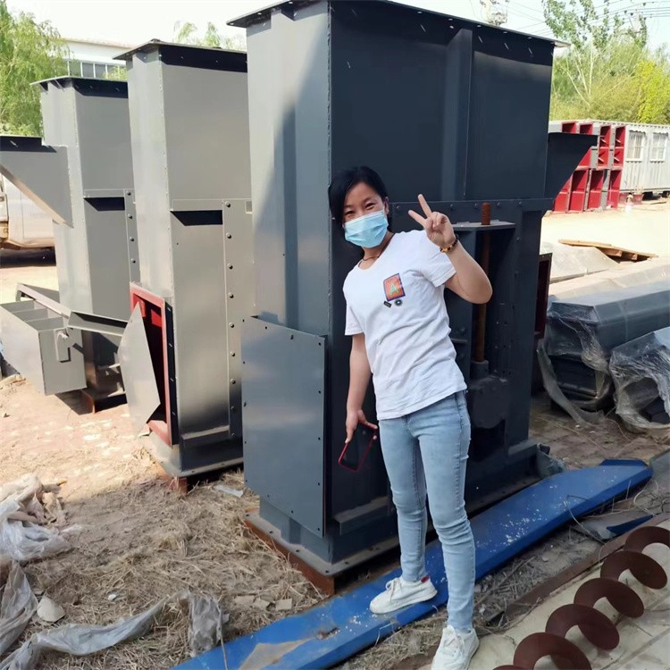 淀粉廠使用的斗式提升機(jī)博雅環(huán)保生產(chǎn)