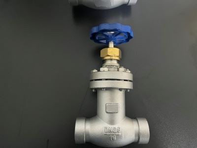 波紋管安全閥100FWJ16P產(chǎn)品圖片