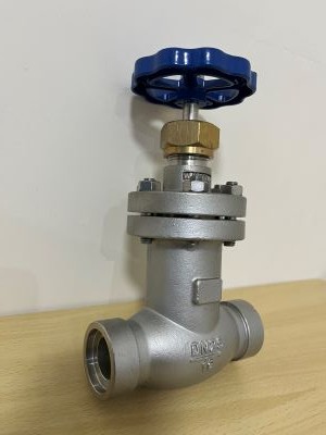 波紋管安全閥40FWJ16P