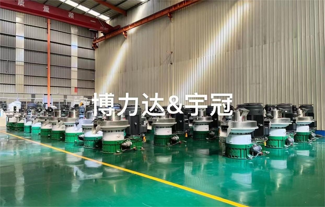 山東博力達(dá)YGKJ560D立式環(huán)模顆粒機(jī)