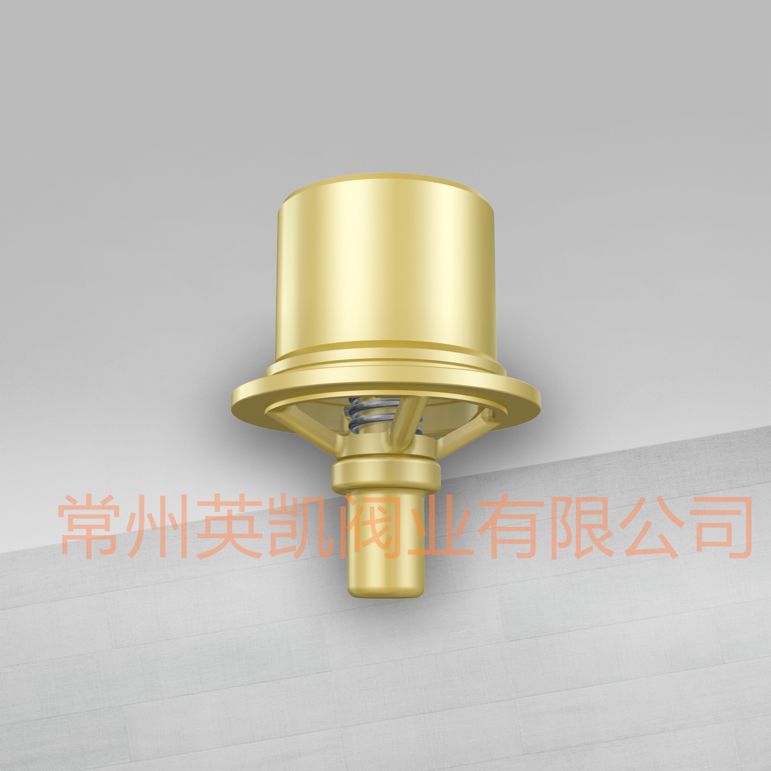 溫控調(diào)節(jié)閥芯 鍋爐設(shè)備冷熱水機(jī)組管道發(fā)電機(jī)等