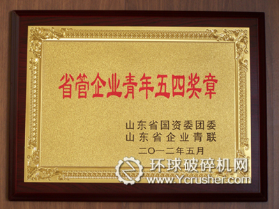 劉懷成榮獲&ldquo;省管企業青年五四獎章&rdquo;