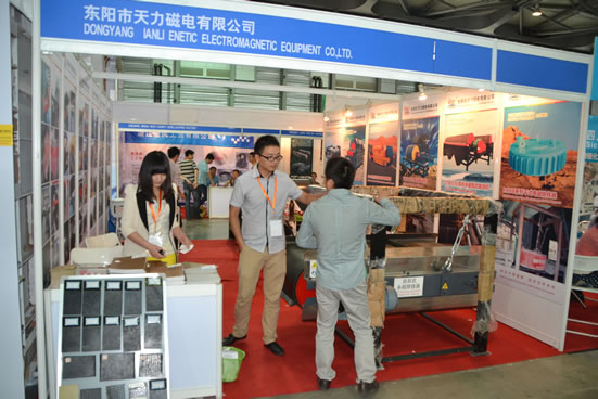 東陽市天力磁電有限公司