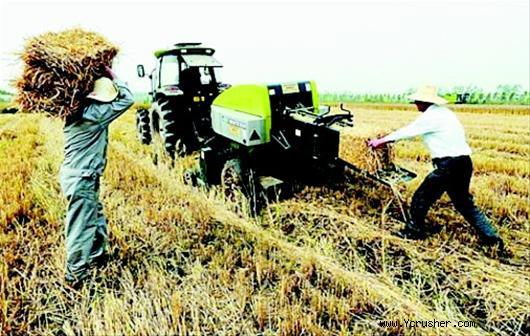 麥收割季節(jié),荊州市在江北農(nóng)場推廣秸稈綜合利用,展示多種收割、收集、打包和運輸?shù)冉斩捇厥障嚓P(guān)的機械設備,以及后期綜合利用的方法和手段。